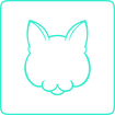 Feline Grimace Scale
