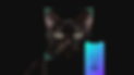 Frame 29.png