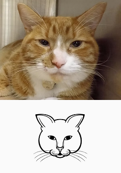 Frame 33.png