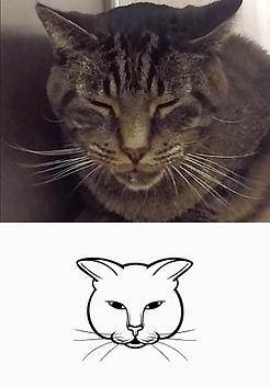 Frame 34.png