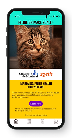 iPhone mockup.png